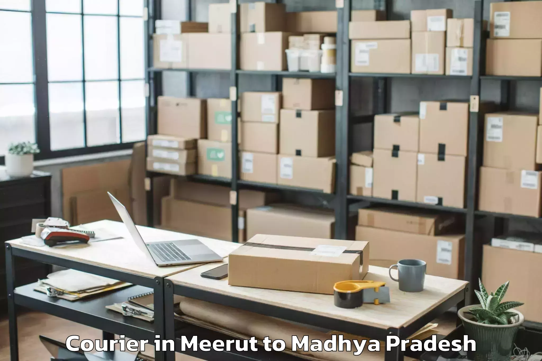 Easy Meerut to Murwara Courier Booking